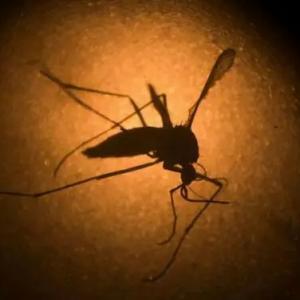 June News Express - malaria ravages Angola
