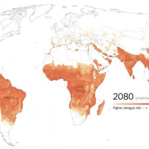 Protect Your Family from Dengue Fever with Our Mosquito Nets
