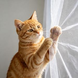 Tips for Keeping Mosquitoes Away This Summer! This mosquito net will help you sleep soundly all night long—Mosquito Net Manufacturers in China